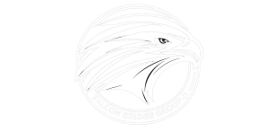 Falcon Bridge Group